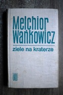 Ziele na kraterze, Wańkowicz
