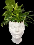 Doniczka Artystyczna biały tworzywo sztuczne rzeźba kobieta głowa sztuka