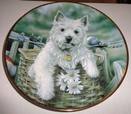 PIĘKNY TALERZ OZDOBNY BIAŁY TERIER kolekcjonerska seria "Westis"