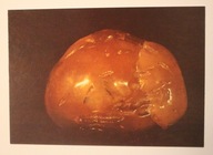 MINERAŁY POLSKI. Bursztyn, okaz bryły bursztynu