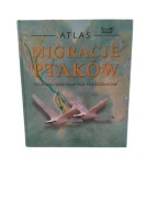 Atlas migracje ptaków szlakami skrzydlatych podróżników