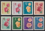 BUŁGARIA - RÓŻE - KWIATY - CZYSTE **