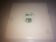 DISCO DARLINGS - REACHIN !!! SUPER- STAN !!!