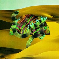 DJANGO DJANGO - Django Django