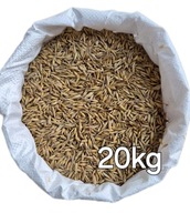 Owies 20 kg nasiona do siewu lub karma dla koni, królików, gęsi, kaczek