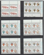 WATYKAN 1979, CZWÓRKI