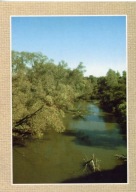 Horodło Hrubieszów Zosin - Bug w okolicach Zosina - z7