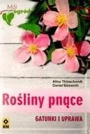 Rośliny pnące. Gatunki i uprawa ksiazka