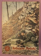 GAZETA, CZASOPISMO - Żołnierz Polski Nr 6 1955 rok - CIEKAWY STAN