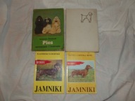 Jamniki Ściesiński+ Jamniki Kłoś +Psy rasowe+ Psy urzymanie i hodowla