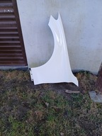 BLOTNIK PRZEDNI LEWY MERCEDES C-KLASA W205 BIALY