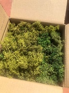 Mech chrobotek skrawki, odpady mix zielonych kolorów 100g