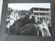 ALBUM WYŚCIGI KONNE ZDJĘCIA POLSKIE KONIE 1966 SŁUŻEWIEC NRD ????