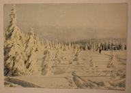 BESKID SĄDECKI. Widok ze Skrzycznego na Baranią Górę, 1968 rok