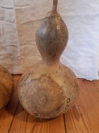 Tykwa Owoc Zdrewniały