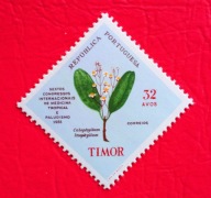 TIMOR 1958 zioła flora czyste**