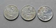 PRL 5 GROSZY 1949 ALUMINIUM ZESTAW 3 SZT. (4)