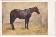 Koń Konie ok.1910r nakładem Czarneckiego H. Klein Malarstwo POLSKIE 872A