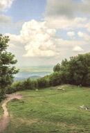 Kurator Zbigniew Libera Artysta w czasach beznadziei