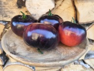 Pomidor czarny Galaktion nasiona kolekcjonerskie