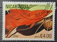 Ryby (kas) - luzak - do uzupełnień 13/8