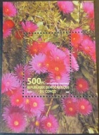 KONGO ** - czysty - FLORA