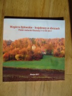 Wzgórza Dylewskie - krajobrazy w obrazach. Plener malarski Glaznoty... 2017