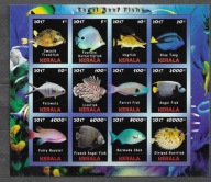 FLORA I FAUNA MORSKA.RYBY. KERALA. Mi ark.. B**2017r. lok.