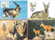 Uzbekistan 1995, MC FDC 4szt. ssaki, markur, górska koza śruboroga, WWF