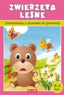 Kolorowanka Dan-Mark ZWIERZĘTA LEŚNA z wzorami do rysowania 4-5 lat