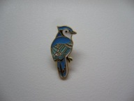 PIN PRZYPINKA BROSZKA PTAK PTASZEK MODROSÓJKA BŁĘKITNA