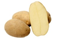 Polskie ziemniaki jadalne tajfun 15 kg PL najtaniej bez chemii