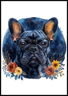 A2 OBRAZ PLAKAT PIES PUPIL PLAKAT BULDOG FRANCUSKI