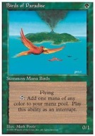 Birds of Paradise "4ED" =stdt=