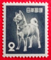 JAPONIA 1953 pies rasy Kishu-ken czyste**