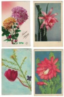 DO55-Życz.Urodz.Kaktusy