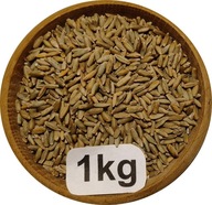 Żyto Ozime Konsumpcyjne/Paszowe 1kg, 2025r
