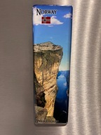 Z fiordu na lodówkę – magnes z Norwegii dla WOŚP