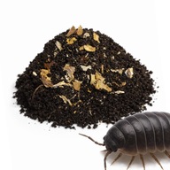 NATURALNE PODŁOŻE DLA ISOPODÓW I KROCIONOGÓW 3L BIOAKTYWNA ZIEMIA TERRARIUM