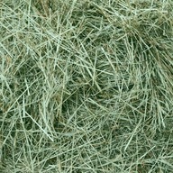 SIANO ZIELONE PACHNĄCE DO BUDY LEGOWISKO 1 KG KILA kilo ZWIERZĄT ROLNIk