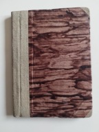 Helena Duninówna O czem mówiły jaskółki 1926