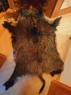 Skóra z dzika na ścianę lub dywan