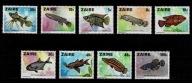 Zair/ ryby/ czyste