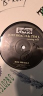 Joff Roach & Tim J Running Wild Winyl