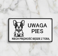 Tabliczka uwaga pies buldog francuski , duży wybór ras