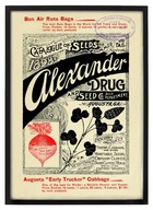 Wyjątkowo Dekoracyjna Grafika do Wystroju Kuchni, Plakat Vintage, Warzywa