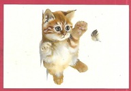 Kot kotek koty rasa harce kot w życiu człowieka pocztówka