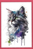 Kot kotek koty rasa harce kot w życiu człowieka pocztówka