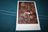 MUZEUM NARODOWE W WARSZAWIE ALEKSANDER GIERYMSKI