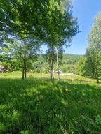 Działka, Świeradów Zdrój, Lubański, 5500 m²